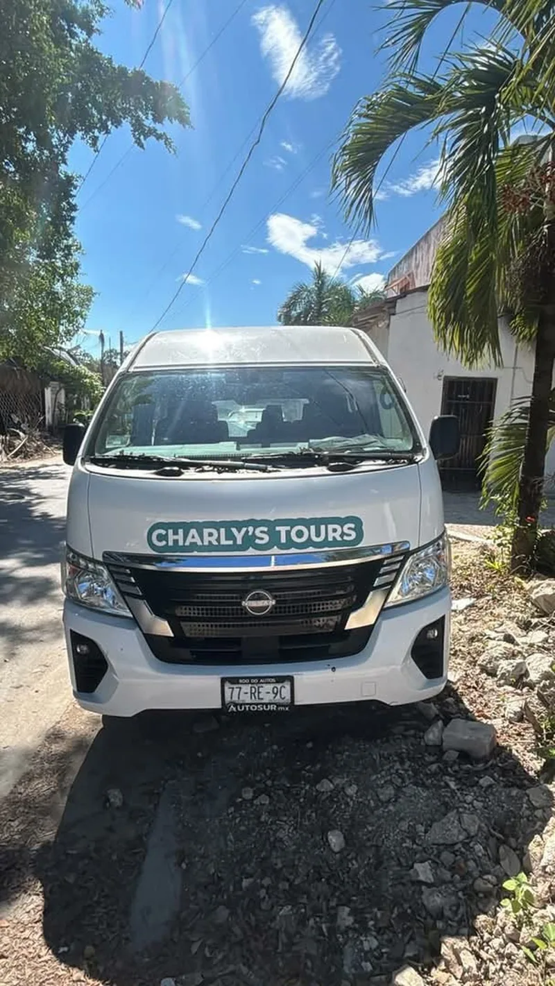 Camioneta blanca de Charly’s Tours vista de frente, bajo las palmeras