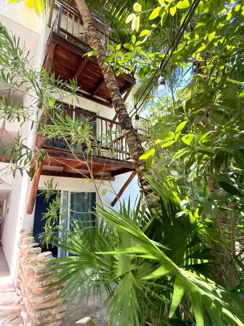 La fachada de los cuartos muestra balcones de madera en dos plantas, entre follaje denso y una palmera en primer plano.