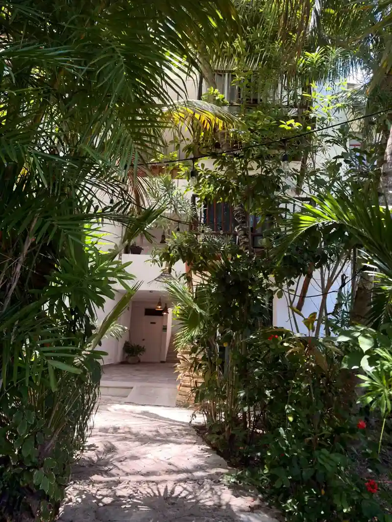 Un camino de piedra cruza la vegetación densa hacia las escaleras y los cuartos, con una guirnalda de luces colgada entre las palmas.